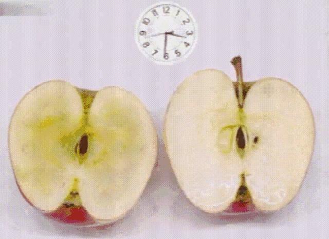 OMG!!!李佳琦推荐！这也太好用了吧！日本蜜梨六胜肽面霜