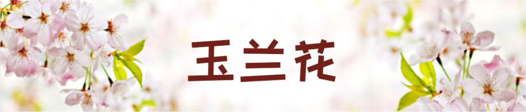 在云南，做一个“花吃”，挺好