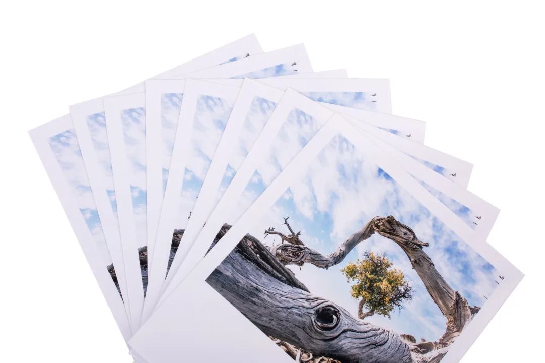 洗照片哪种冲印方式最好测评,照片冲印有几种方式