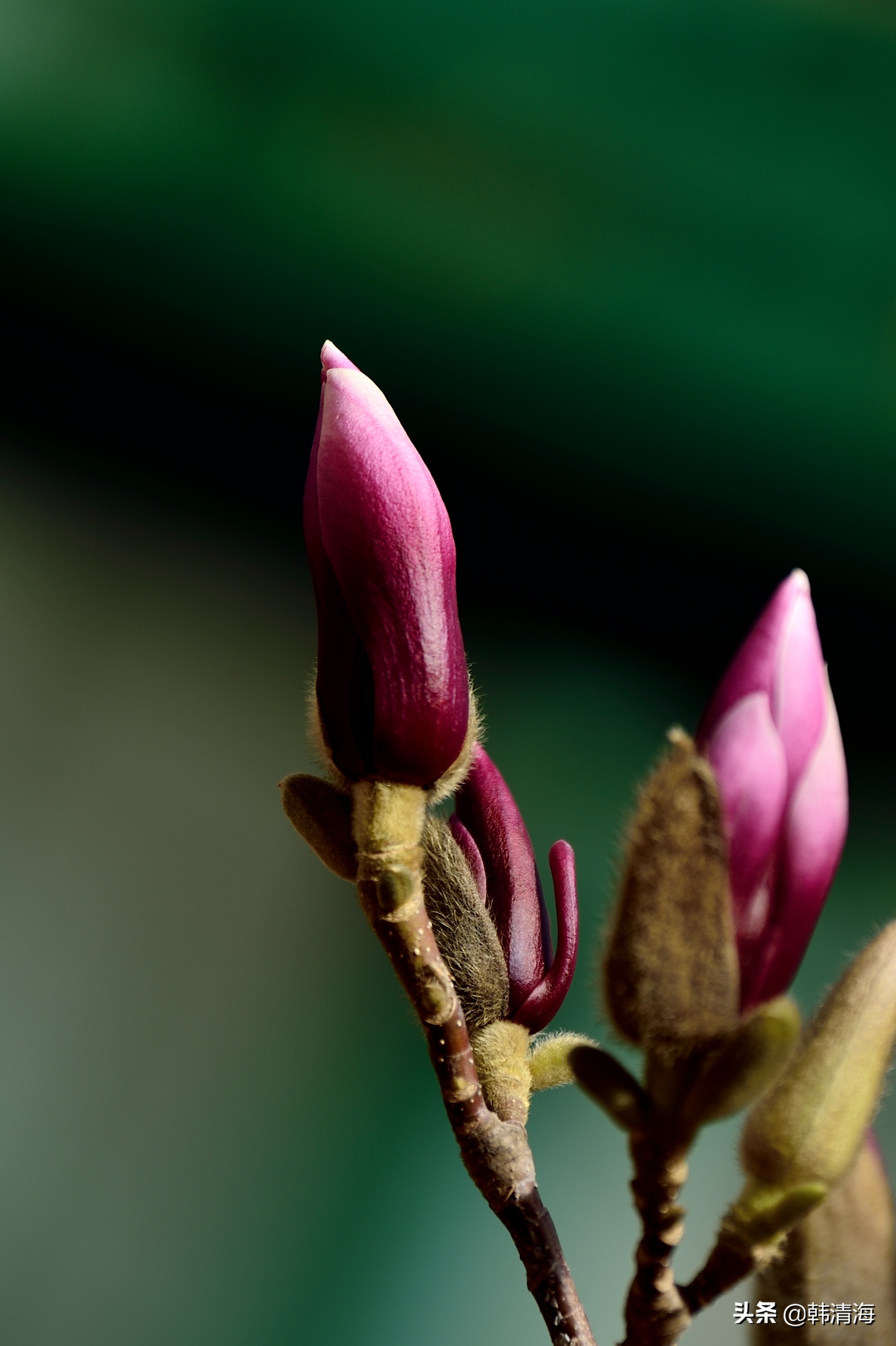 天津南开水畔花园洋房,天津南开区水畔花园