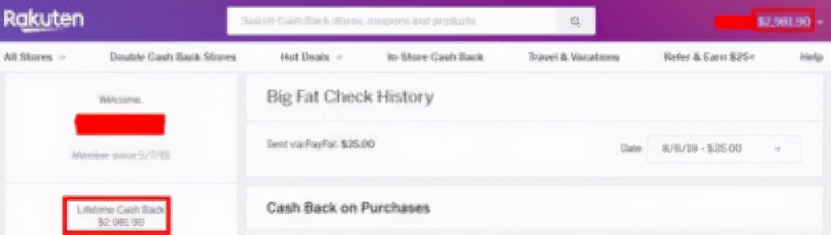 在美国如何快速赚钱100万,美国网上挣钱