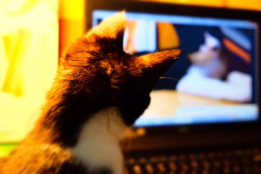 和卡卡的第一次合作,和卡卡相遇