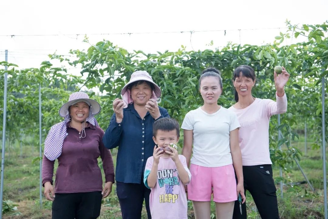 90后新农人直播视频,90后新农人创业故事