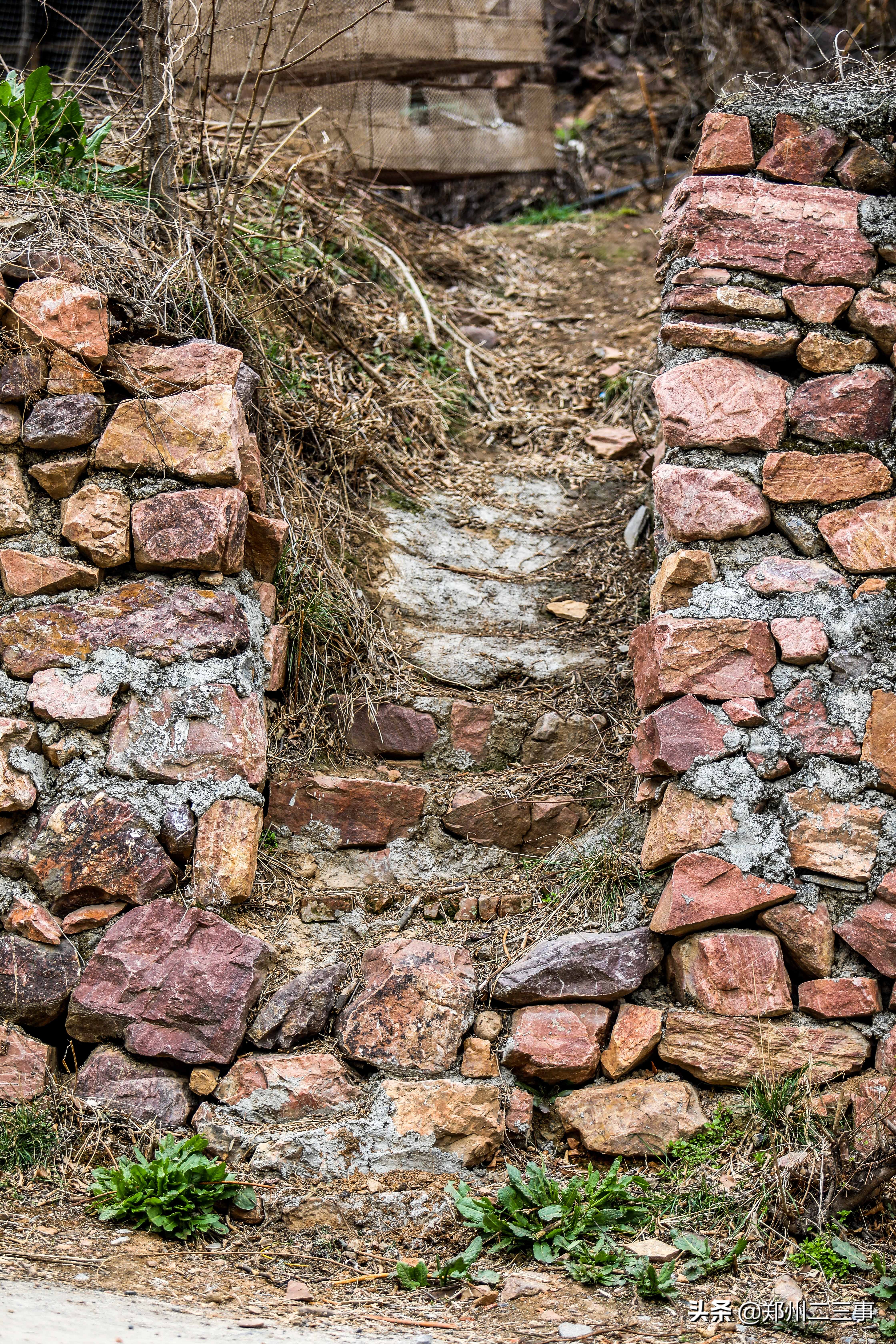 郑州惠济区免费遛娃好去处植物园,郑州遛娃踏青好去处