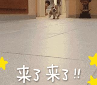 你愿意为颜值买单吗,你愿意为美丽付出代价吗