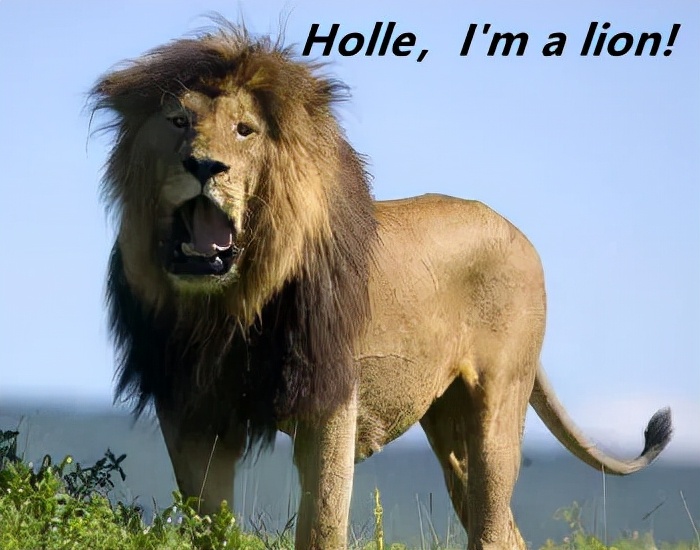 在外国人眼里好听的英文名,文艺又少见的洋气的英文名