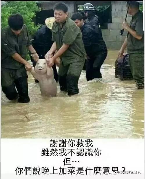 职业打假6人被批捕原因,职业打假人被抓会判刑吗