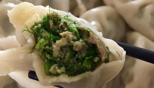 茴香简单又好吃的做法,茴香家常吃法