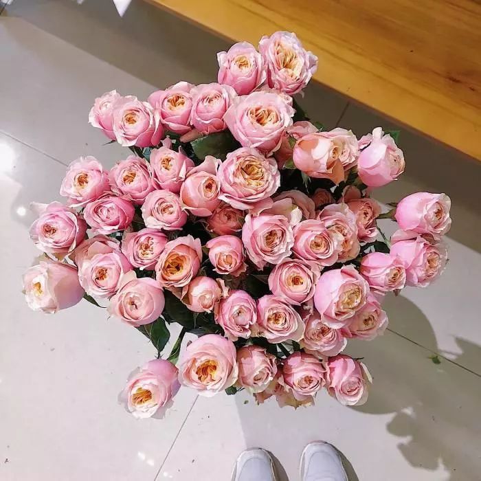 花店必备的5款玫瑰,花店常用的10款玫瑰花是哪些品种