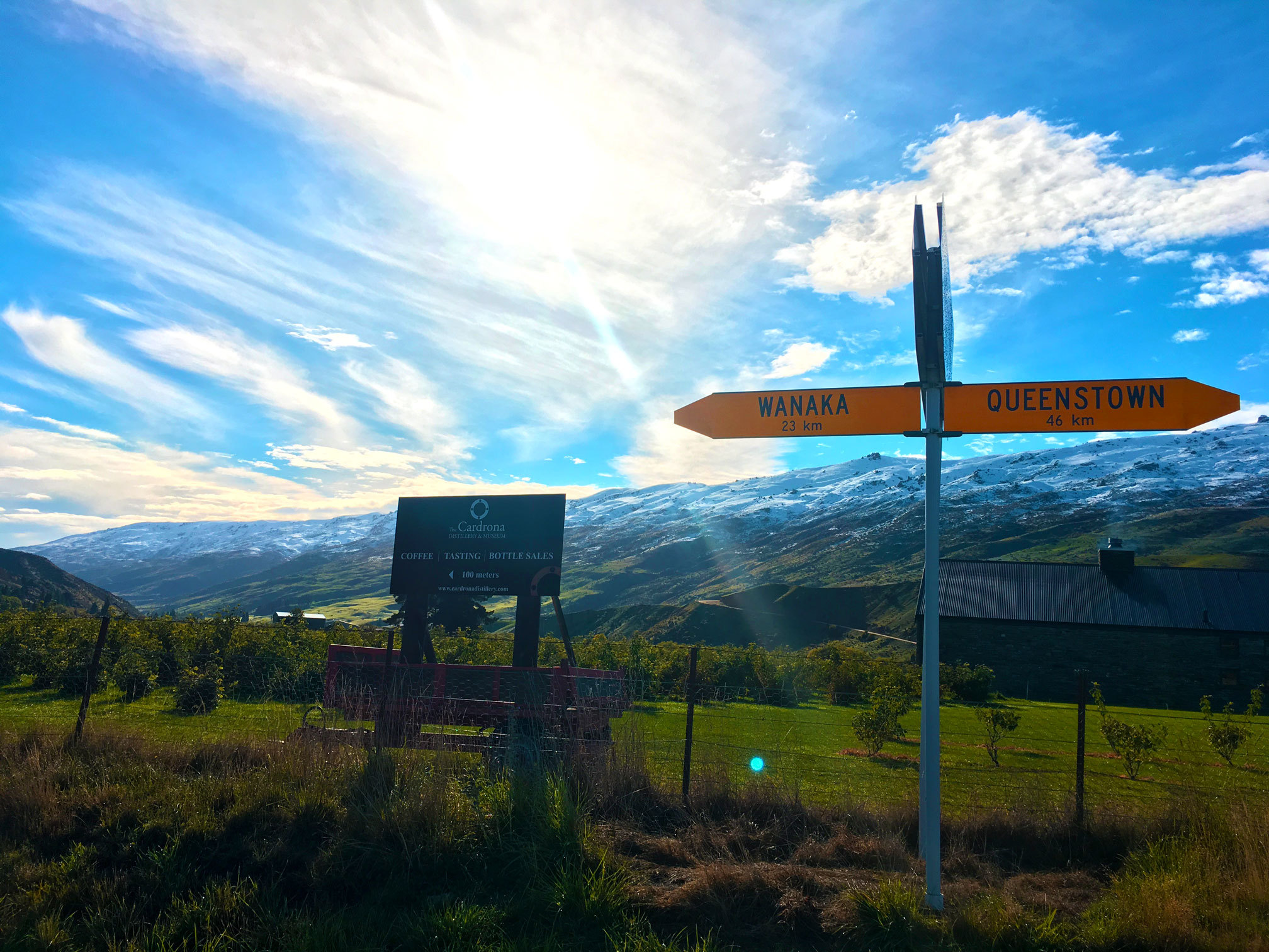 新西兰旅游必备大牌礼物,新西兰旅行攻略完整详细版