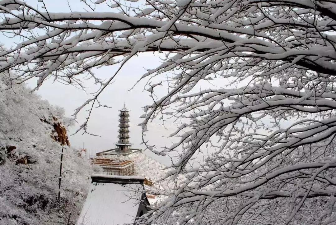 京张高铁正确打卡方式,京张高铁一日跑几趟