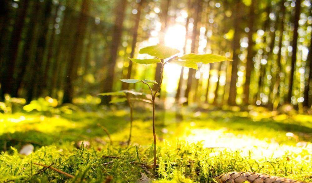 气血津液辨证视频,气血津液谁排第一