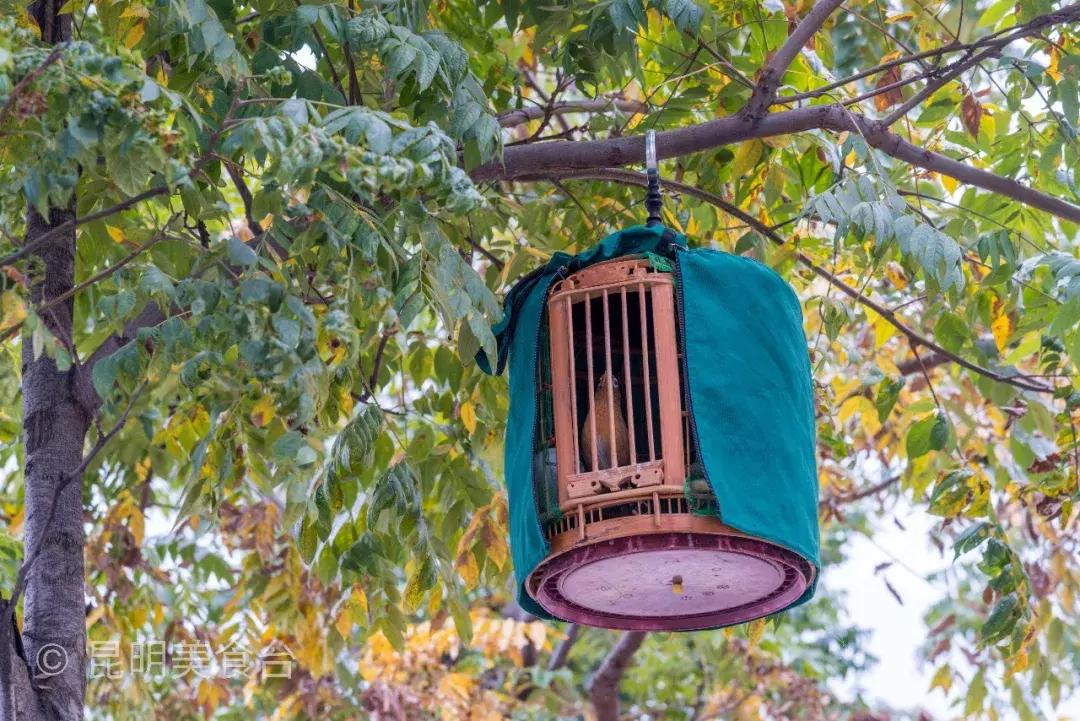 昆明市金实小学,昆明金实小学盘龙区