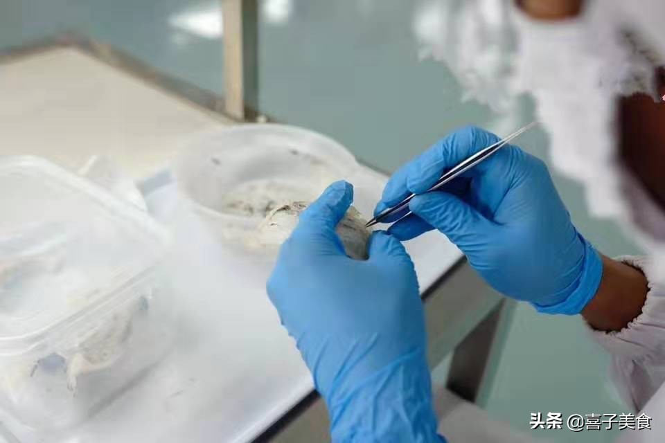 印尼新标准溯源燕窝,印尼未加工的燕窝是怎样的