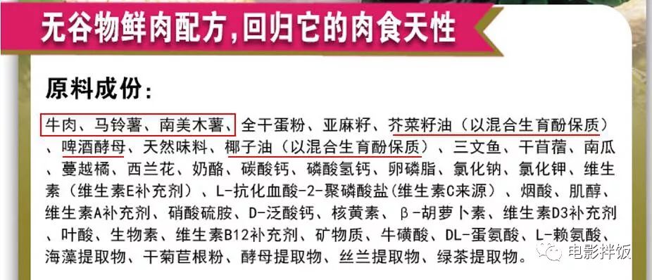 养猫怎么喂养小猫,新手养猫准备接猫咪需要买什么