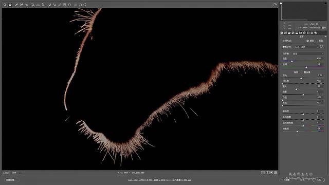 尼康d850完全摄影指南,尼康d850大变焦镜头推荐