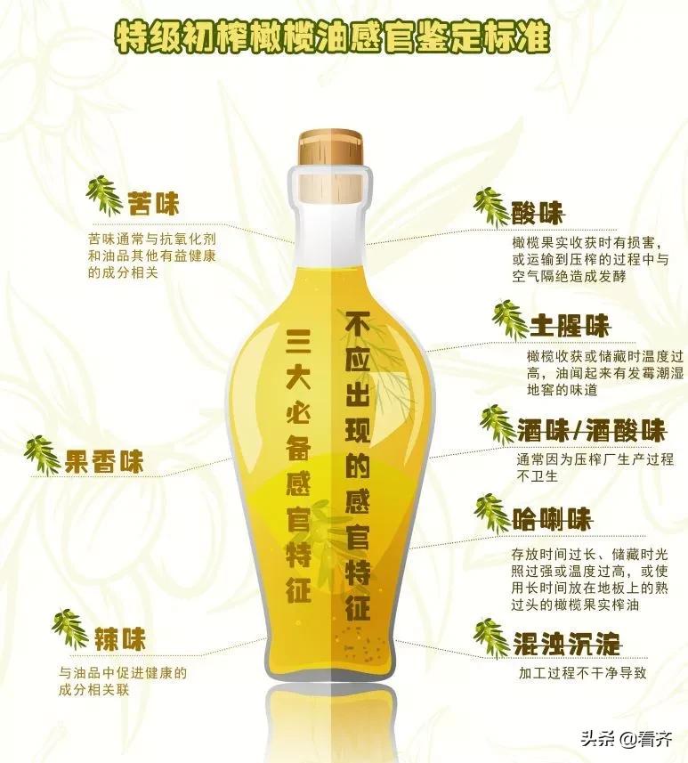 橄榄油买哪种好,橄榄油买哪一种好