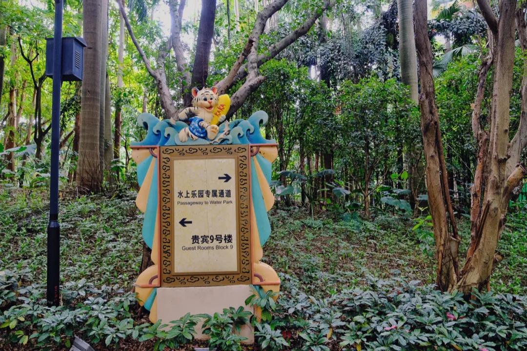 广州长隆购买攻略,广州长隆游玩攻略必买