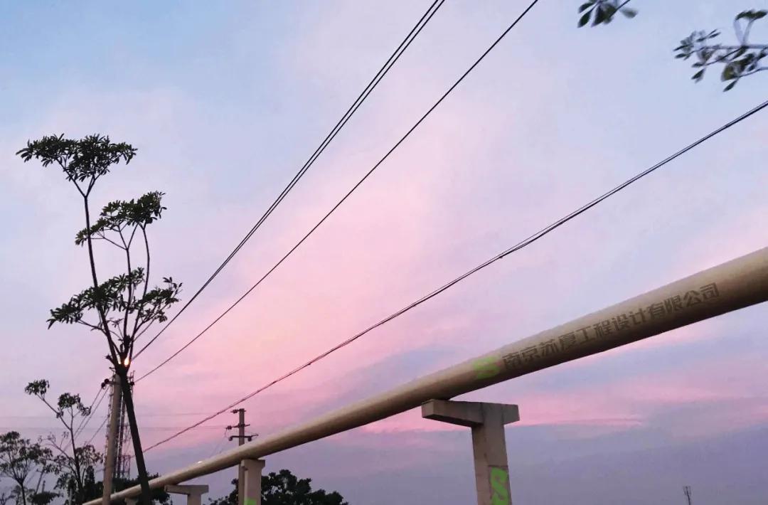 核电余热利用正当其时—专访南京苏夏设计集团股份有限公司董事长王国兴