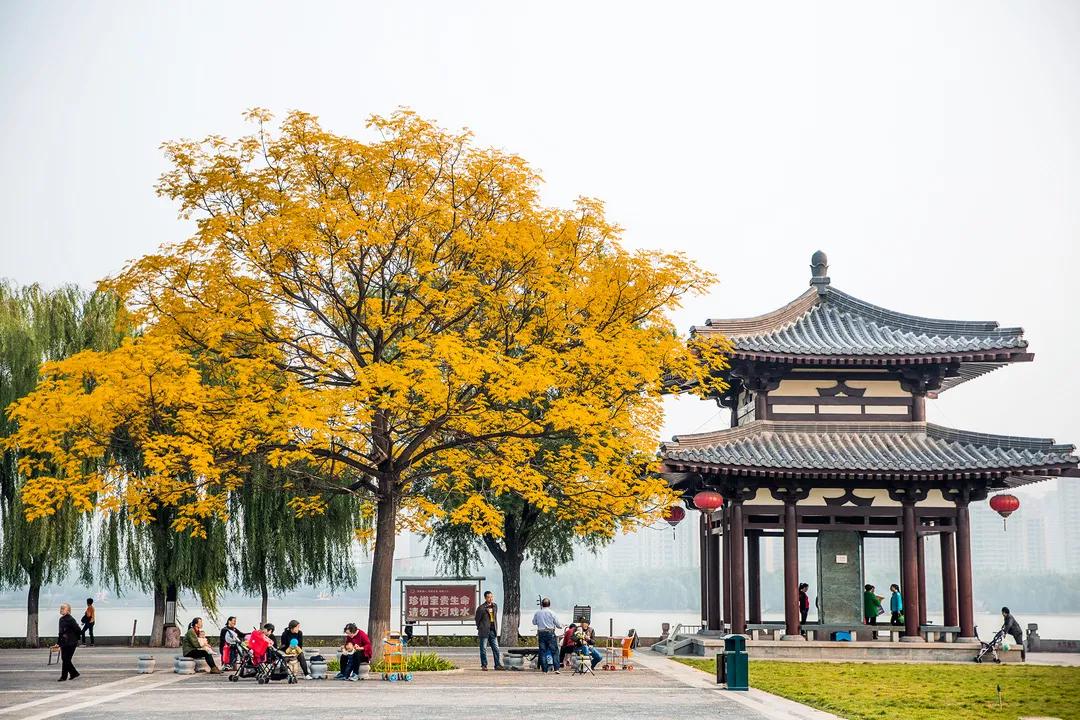 洛阳有收藏玉器的地方吗,洛龙区游玩收藏榜