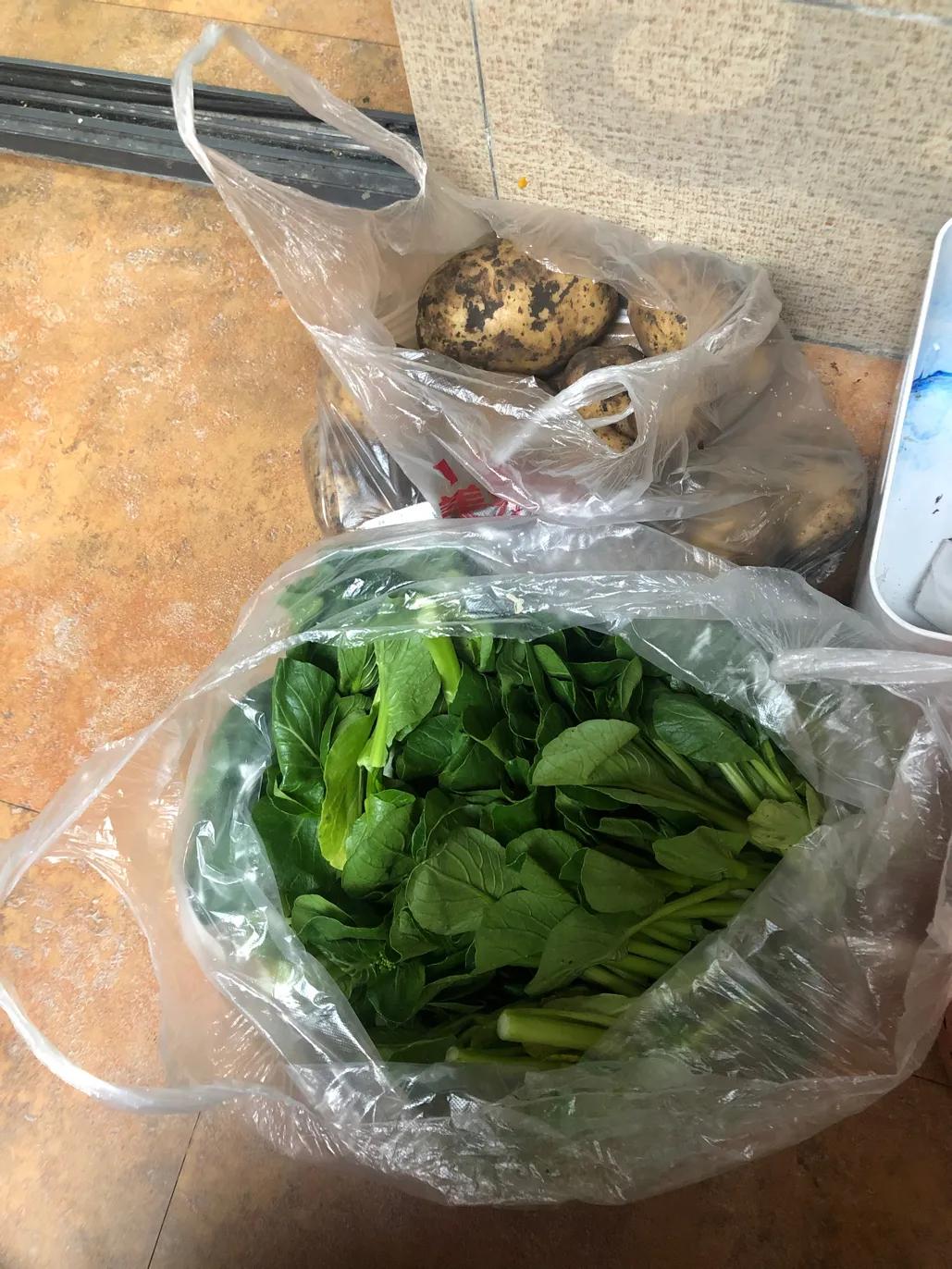 疫情期间妈妈不让出门怎么办,疫情期间妈妈不让出门