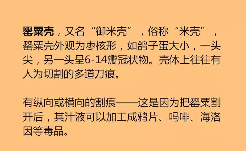 特殊时期的火锅,特殊时期可以吃什么外卖