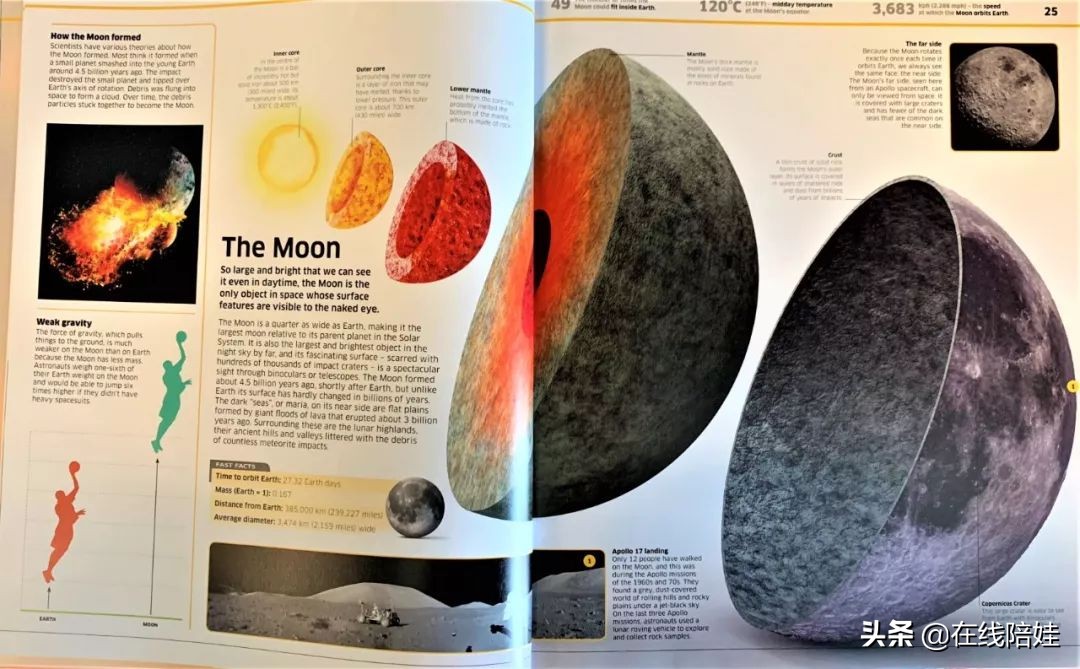 dk知识大百科全套,dk知识大百科书金银版