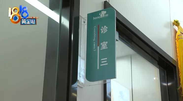 四胞胎都没有胎心胎芽正常吗,四胎无创都没问题五胎会有问题吗