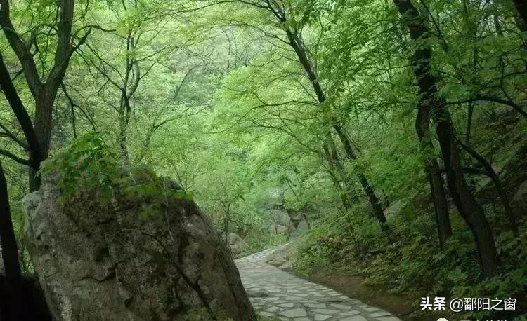 河北有了这些均温不足20℃的空调山，再热情的“烤验”也挡得住