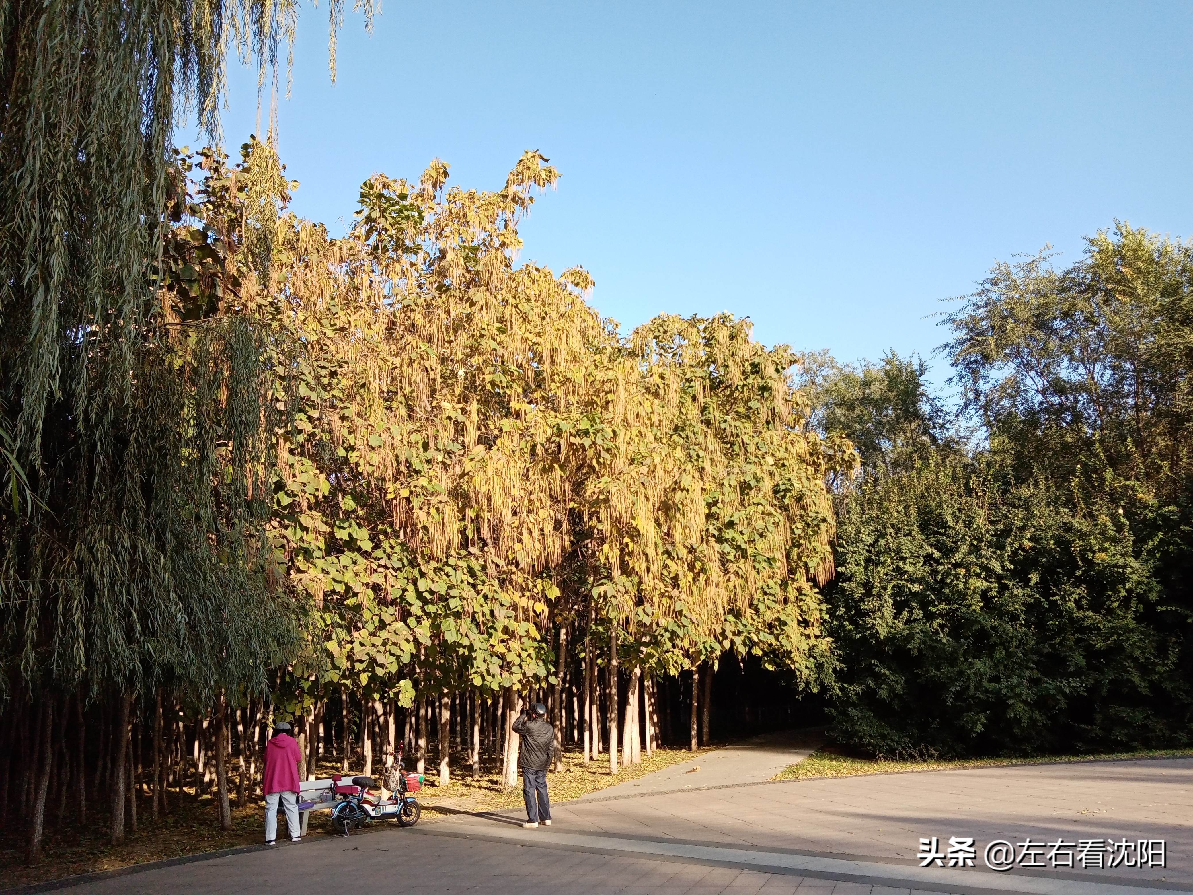 沈阳沈水湾公园看日出,沈阳浑河看海的地方