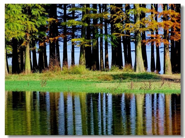 余姚四明湖开元山庄,余姚四明湖开元山庄自驾游