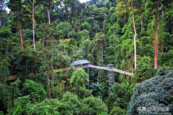 河南洛宁卫明新——云南旅游组诗二十首