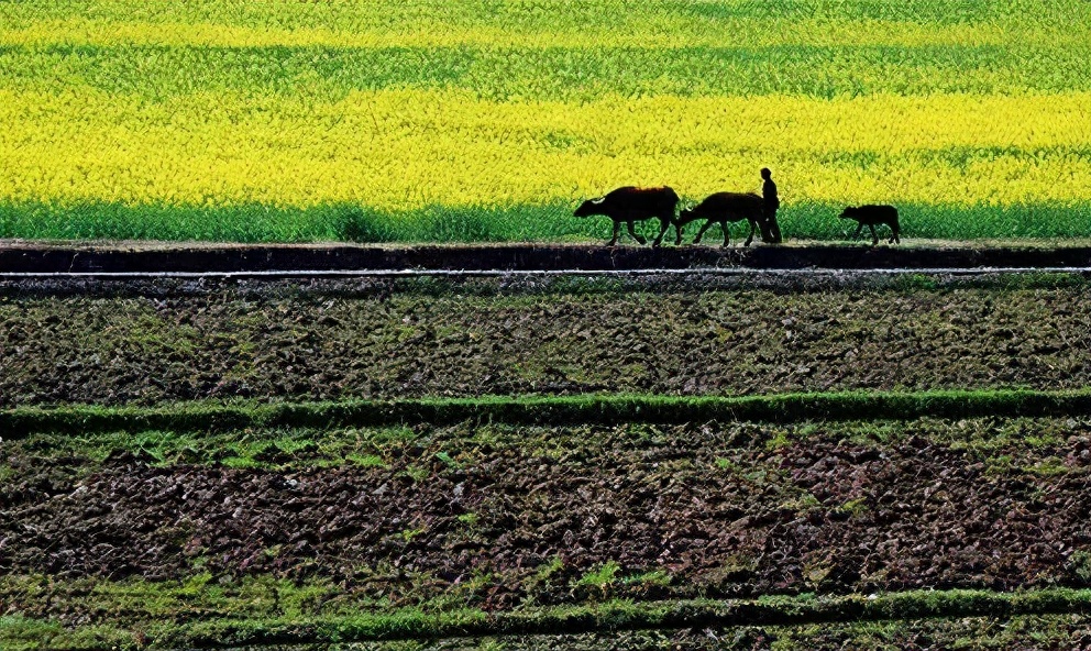 浙江胜诉率高的搬迁补偿律师费用,浙江拆迁集体起诉
