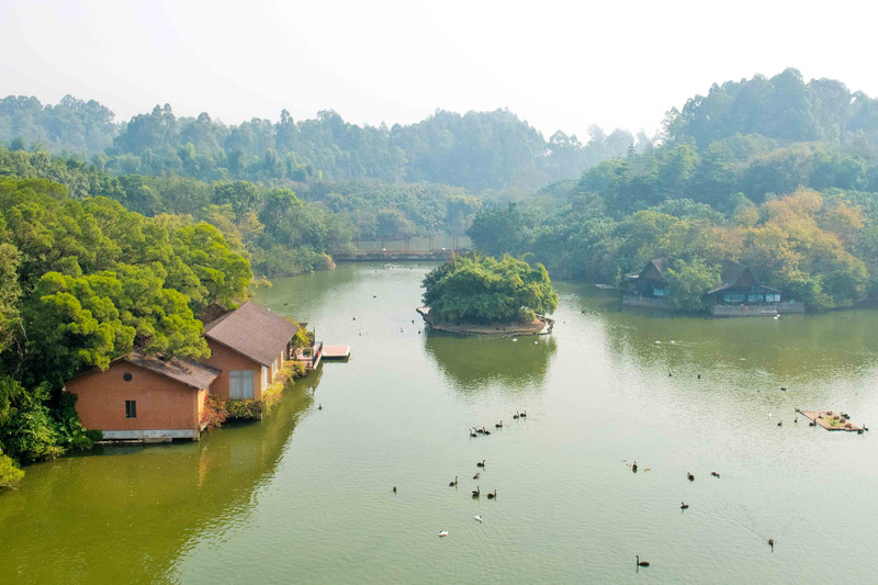 离广州长隆最近的海滩景点,长隆海洋世界王国必打卡景点