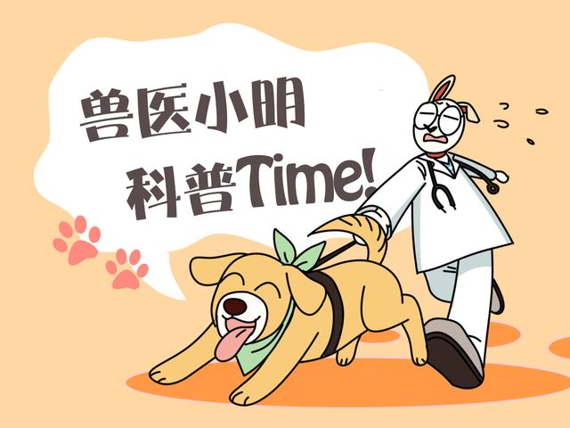 猫咪从楼梯上翻滚而下,猫咪能像水一样从楼梯上流下来