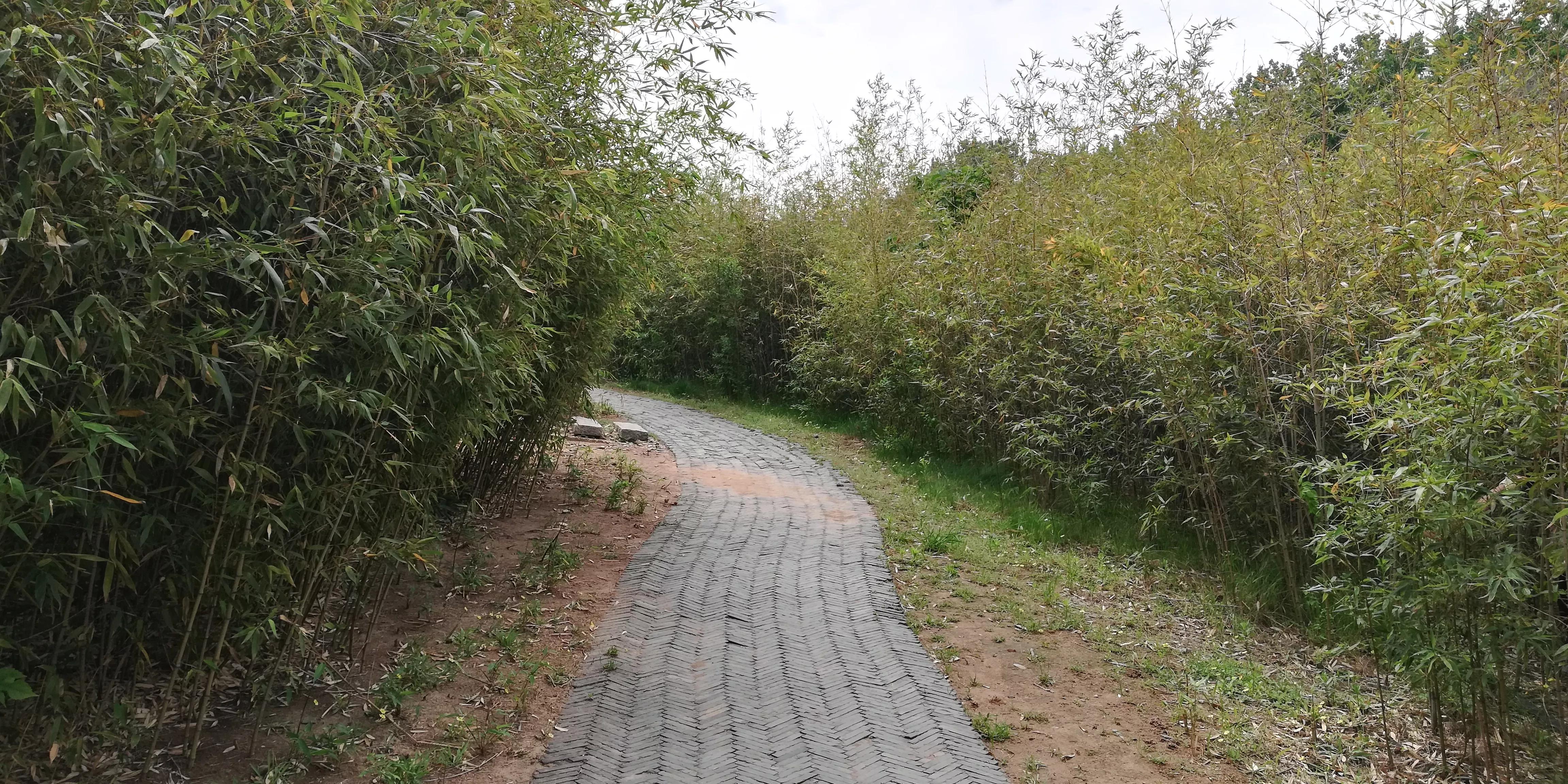 美女稽查官,夜闯“迷你”酒吧,与老板私下做生意