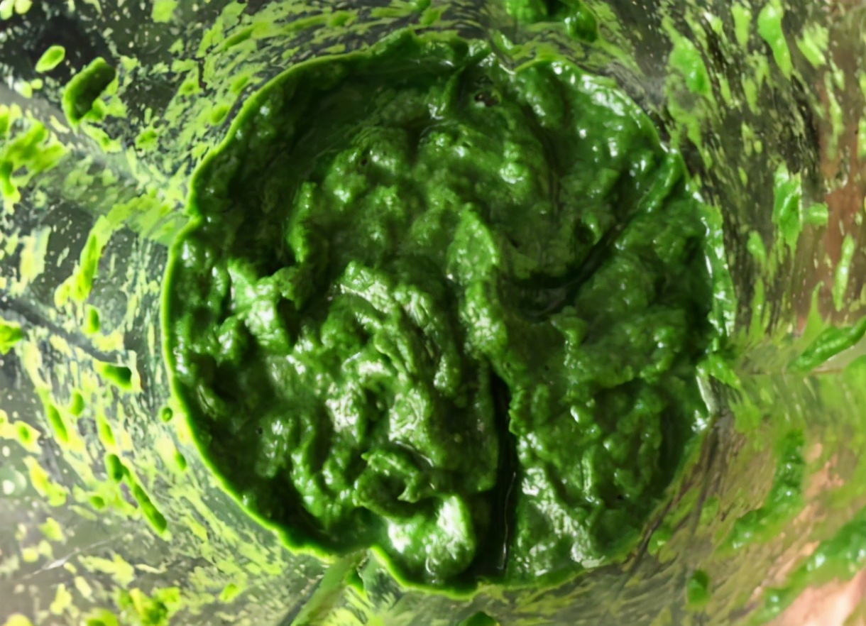 教你自己在家做青团口感软糯,青团制作怎么不粘手