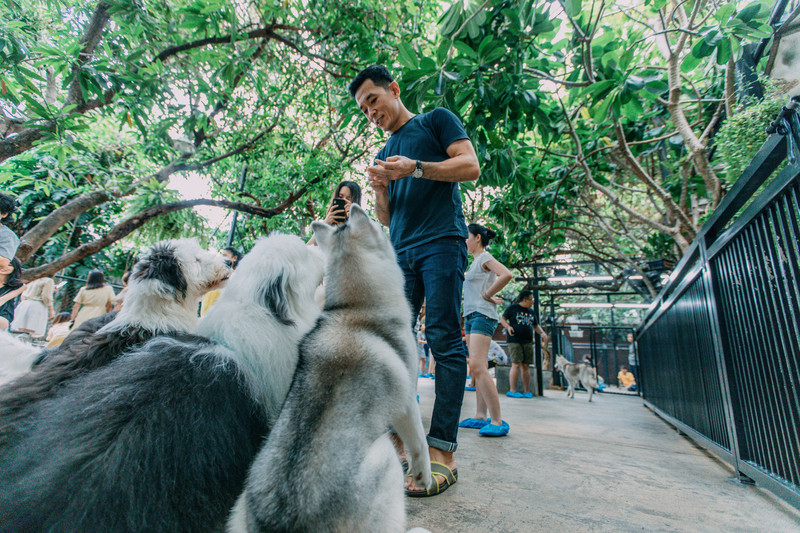 多次曼谷,整理了这份美食攻略,曼谷怎么吃?快戳进来