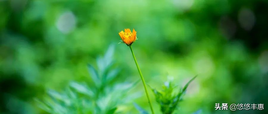 提醒插画素材,提醒动漫