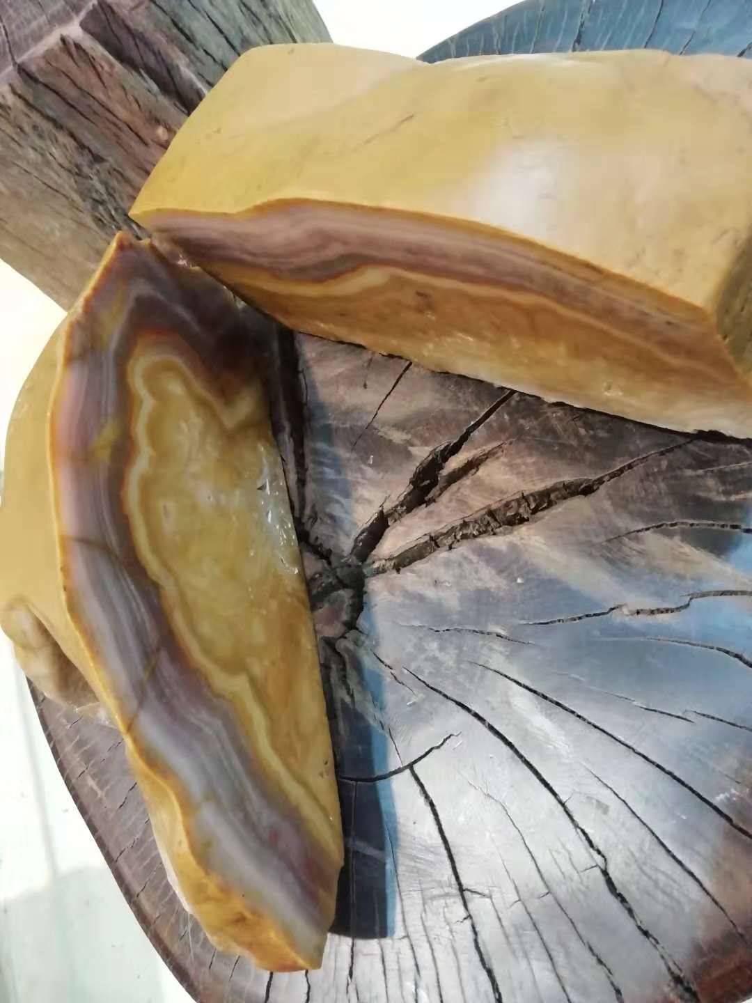 河边捡石头怎么鉴别石头是玉石,在户外捡到石头哪种石头更值钱