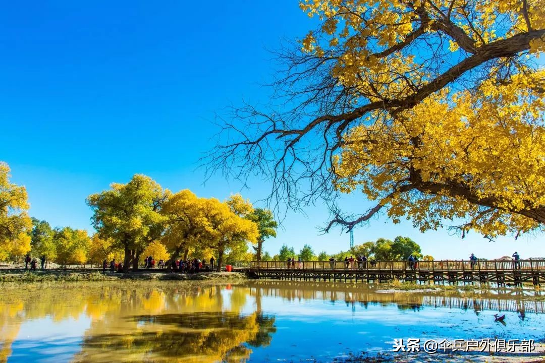 国内值得自驾的七条绝美路线,适合7天自驾的最美路线