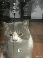 化妆师综艺陈都灵,陈都灵认出化妆师