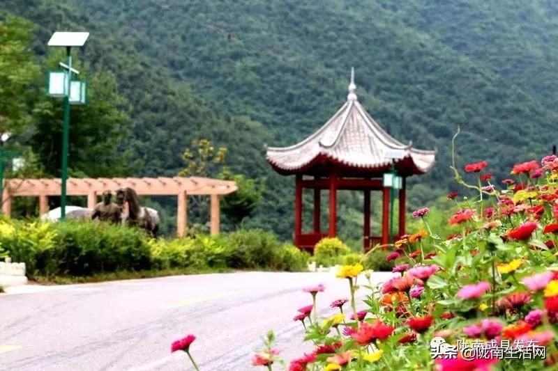 我叫成县,这是我2019年的自拍照