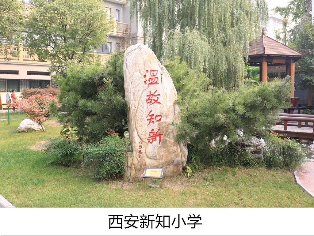 西安新知小学2019届,西安新知小学直播间