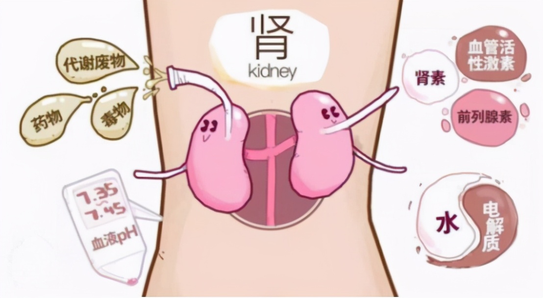 净水器为什么越来越普及,国内的净水器好还是国外的好