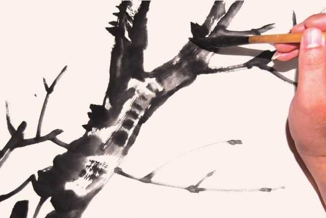 国画教程零基础入门树的画法,国画花卉线稿教程大全