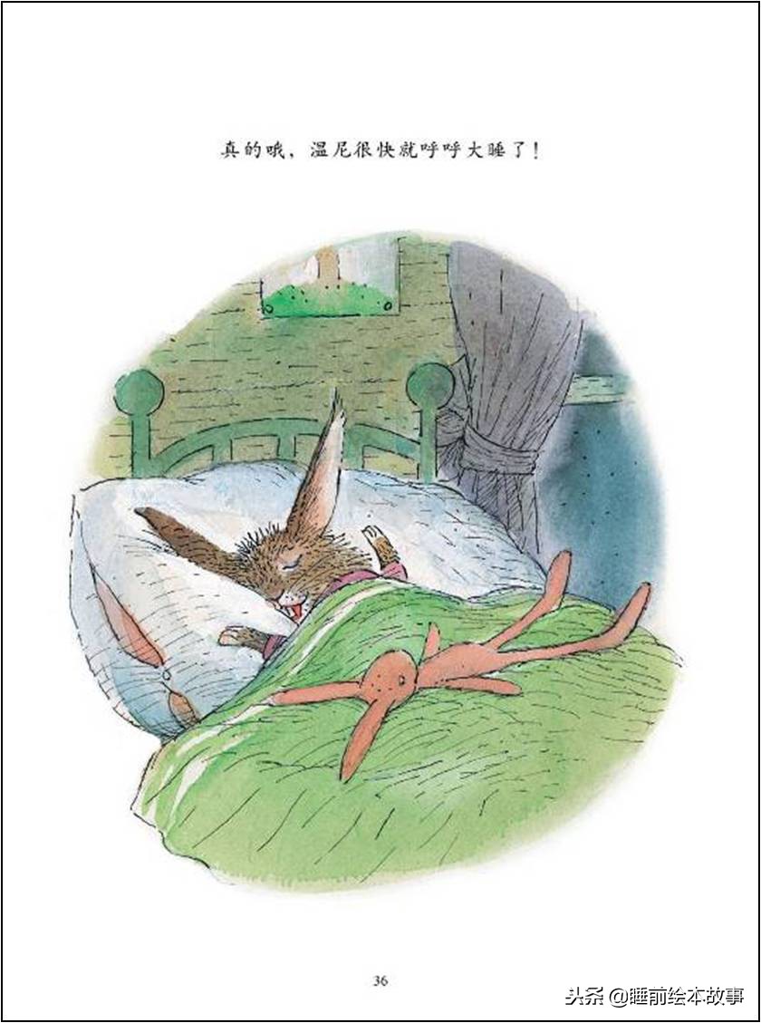 睡前故事儿童绘本有话好好说,睡前故事绘本让孩子甜美入梦