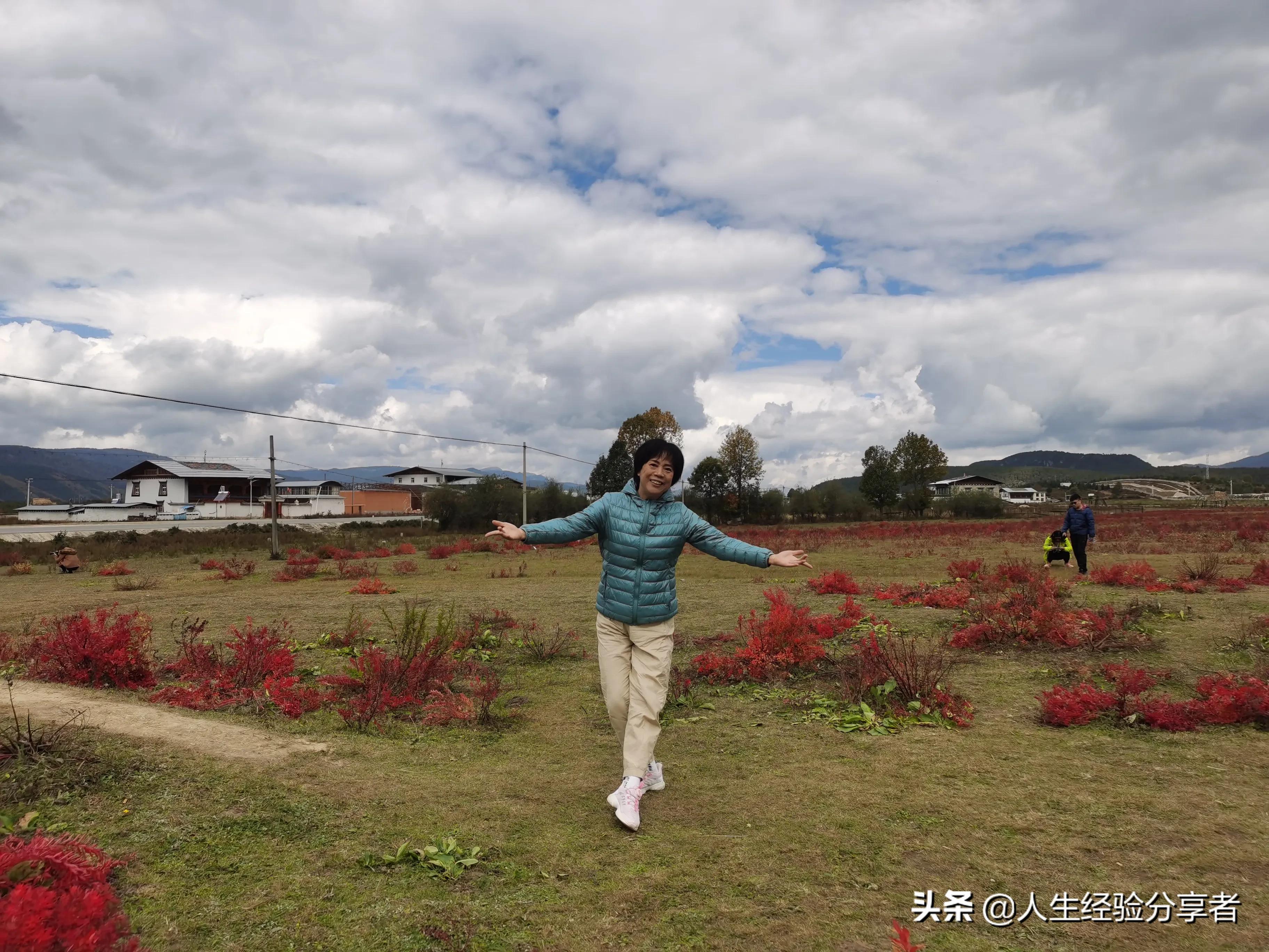 香格里拉一日游跟团游,香格里拉独克宗古城游记