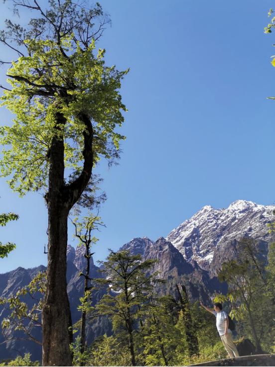 海螺沟燕子沟四日游,海螺沟燕子沟风景区