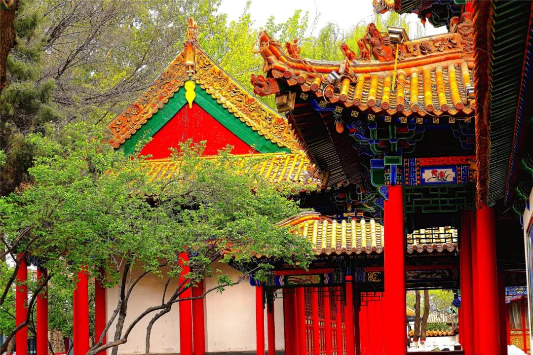 宁夏银川街心公园,银川兴庆区宁园门票多少